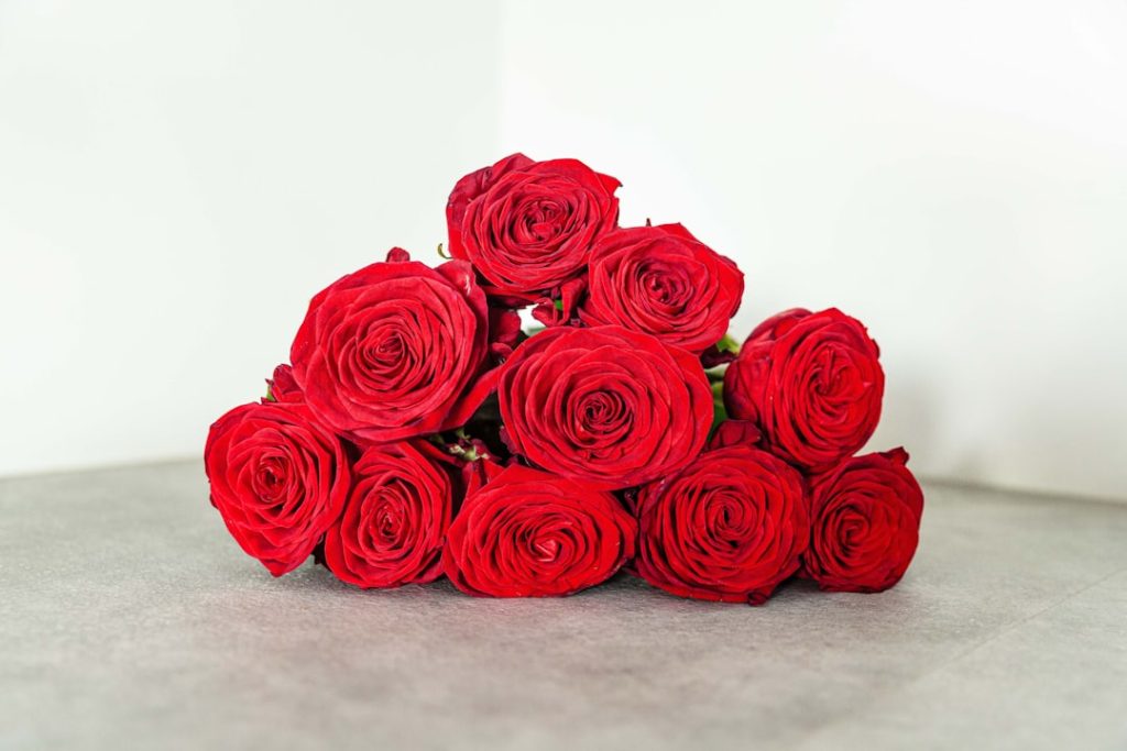 Top 5 Valentine’s Day Flowers to Wow Your Loved One