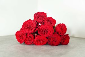 Photo Red roses